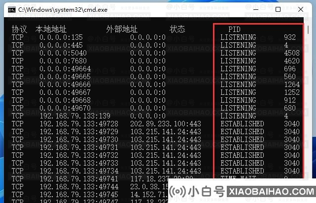 怎么看端口有没有被占用？Win11查看端口是否占用的方法
