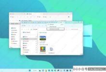 如何在Windows 11的文件浏览器上使用标签页?_小白号