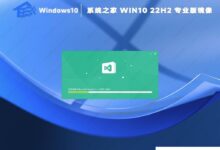 系统首页win10 22h2专业正式版镜像下载(永久激活)_小白号