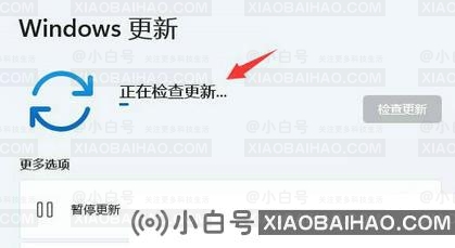 win11分辨率被锁定无法更改怎么办？win11分辨率锁定解决方案-小白号