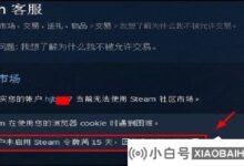 蒸汽打开市场提示。使用你的浏览器cookie遇到困难怎么办?(解决Steam在使用您的浏览器cookie时遇到的困难)_小白号
