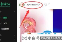 悦泰如何删除上传的mv?删除岳泰已上传(如何删除岳泰的作品)_小白号