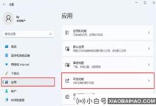 Win11如何开启IE模式功能?在Win11中打开IE模式功能的方法_小白号