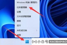 如何检查Win11中的内存使用情况? 如何在win11中显示内存使用率(win如何显示11内存)_小白号