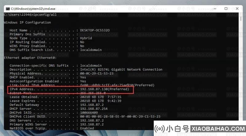 win11检查ip地址的两种方法(window10如何检查IP地址)-小白号