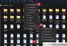 Win11如何改变文件类型?Win11改变文件类型的两种方法(win11如何改变文件后缀)_小白号