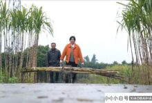 品多多90后新农民的情怀,传承了百年古艺,给百姓带来了富裕。_小白号