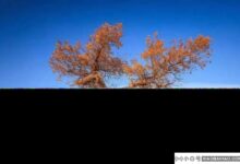 半导体切割是一个阶段性的变化,长期来看还在进步。_小白号