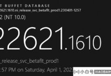 微软WIN 11 22621.1610/22624.1610(KB 5025299)4月补丁更新推送!_小白号