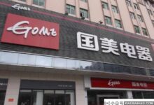 国美CEO王卫:国美正在进行商业模式的迭代调整(国美王卫简历)_小白号
