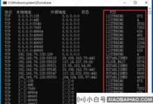 win10系统如何检查端口号?查看端口号的win10方法_小白号