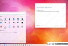预装Windows 11的PC如何降级到10?免费教程来了!_小白号