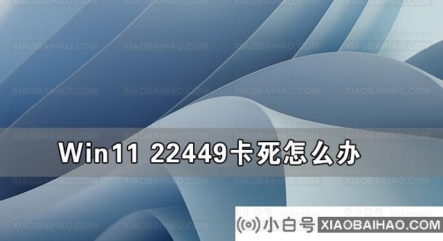 Win11 22449卡死怎么办？Win11 22449卡死的解决方法