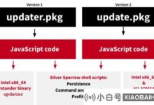 恶意软件Silver Sparrow出现在全球近30,000台MAC电脑上,并且已经在153个国家发现。_小白号