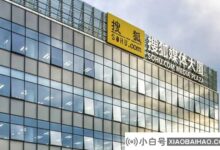 搜狐二季报:总营收1.95亿美元,净利润1200万美元(亚马逊Q2净利润26亿美元,营收634亿美元)。_小白号