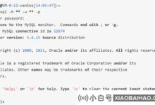 xshell如何连接数据库服务器?(xshell连接到数据库)_小白号