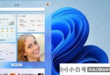 Win11小工具无法卸载。这是怎么回事?完全卸载Win11 widget的方法(win11 widget重装)_小白号