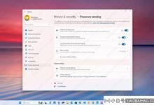 如何在Windows 11上启用存在感?_小白号