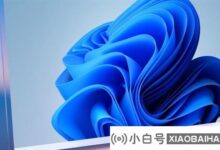 Windows 11爆发新Bug!颜色显示可能不正常。_小白号