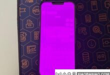 苹果回应部分iPhone 13粉屏问题:这是软件Bug。_小白号