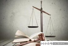 狄律师还表示:股权转让后,原股东会被债权人执行?(股权转让后形成的债务是否加入原股东)_小白号