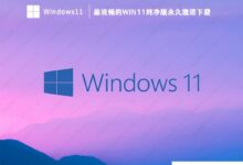 Win11纯版下载_最流畅的Win11纯版永久激活下载(windows11纯版下载)_小白号