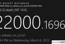 微软WIN 11 21 H2 22000.1696(KB 5023698)3月最新更新,有更新!_小白号