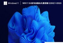 Win11 22H2专业版下载_Win11 64位专业版ISO镜像(永久激活)下载_小白号