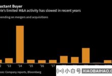 彭博:苹果公司的现金储备超过1650亿美元,一场大规模收购即将开始。_小白号