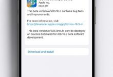 Apple版本iOS 16.3/iPados 16.3公共Beta Beta 2_小白号