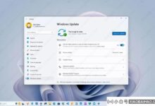 如何在Windows 11上启用新的时刻更新预览选项?_小白号