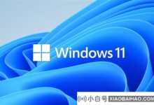 双倍!超2.3亿人用过Win11:Win10 21H2旗舰版,尴尬又落后。_小白号