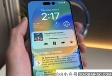 iPhone 14 Pro Max相机将采用更新更大的感光元件。_小白号