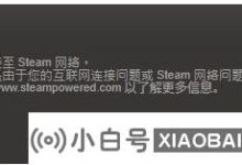 Win10 Professional连不上steam怎么办?(win10安装蒸汽不能联网)_小白号