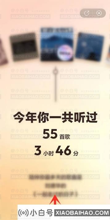 哪里可以看到网易2022年年报？如何查看网易音乐2022年年报(网易云2021年年报在哪里看)-小白号