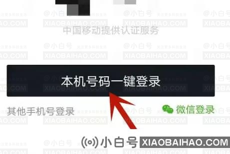 steam账号的价值在哪里？蒸汽账户值查看方法(蒸汽账户值查询)-小白号