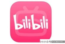公告:哔哩哔哩:严禁诱导未成年人进行非理性偶像崇拜和集资(未成年粉丝要帮忙)。_小白号