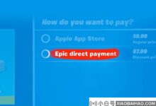 蒂姆·库克:如果支持三方支付,App Store就会变成跳蚤市场。_小白号