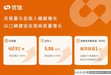 心有发布最新财报:全年营收16.4亿元,同比增长149%。_小白号