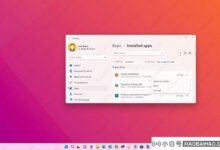 如何从WSL中移除Linux发行版?三种方法分享给你!_小白号