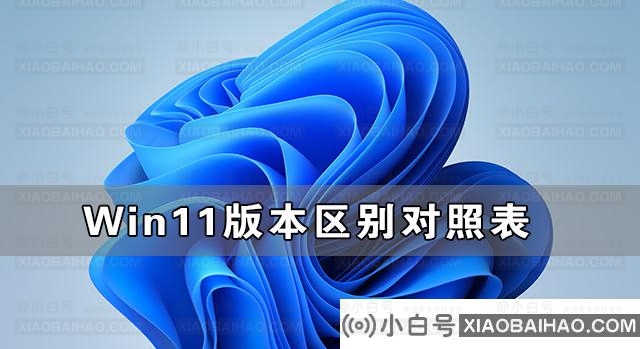 Win11版本区别对照表_Win11各个版本怎么区分
