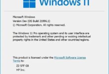 Win11如何安装安卓应用?如何在Win11中安装APP?(如何在Win11中安装Android应用)_小白号