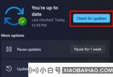如何解决Win11更新卡0%不动的问题?_小白号