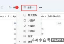 如何在Win11上显示文件扩展名?   如何在Win11上显示文件扩展名(windows如何显示10个文件扩展)_小白号