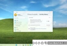 如何在Windows 11上清除和禁用活动历史?_小白号