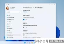 无法打开Win11开发人员模式。Win11启用开发者模式。_小白号