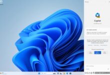 微软Win11 Dev预览版Build 23493上线,内置AI助手Copilot。_小白号