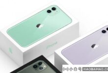 iPhone 11作为2020年最畅销的智能手机,iPhone 12 mini排名第十。_小白号