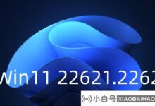Win 11 Insider预览版Build 226x1.2262 (Beta)预览更新发布推送!_小白号