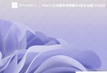 Win11正式版镜像下载_Win11正式版系统镜像[64位专业版]_小白号